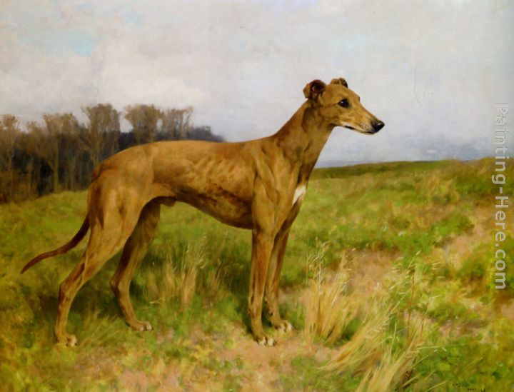 Champion Greyhound Dee Flint painting - Arthur Wardle Champion Greyhound Dee Flint art painting